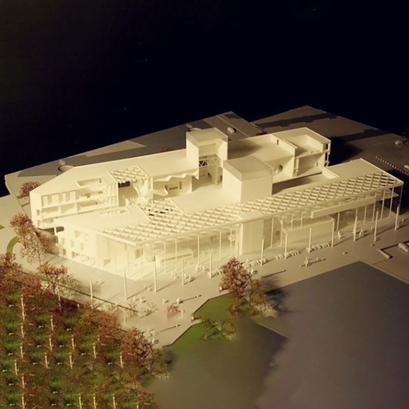 香港全年最全免费资料